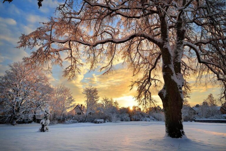 Aceitação:  processo do seu desenvolvimento pessoal