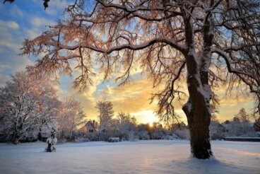 Aceitação:  processo do seu desenvolvimento pessoal