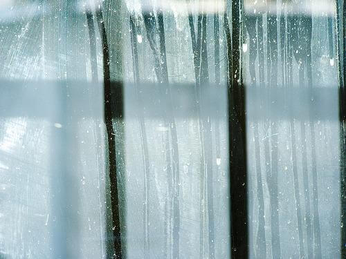 Vidros sujos que julgam vidas alheias