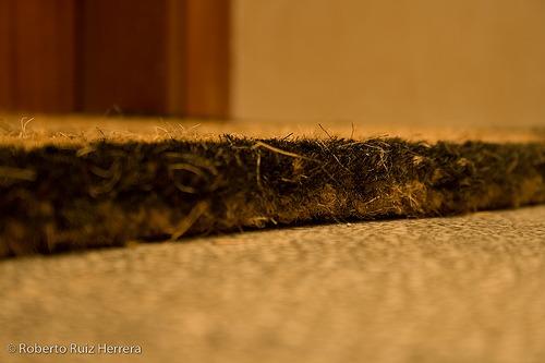 Ser ou não ser... um capacho?