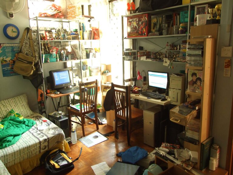 A organização e a desorganização