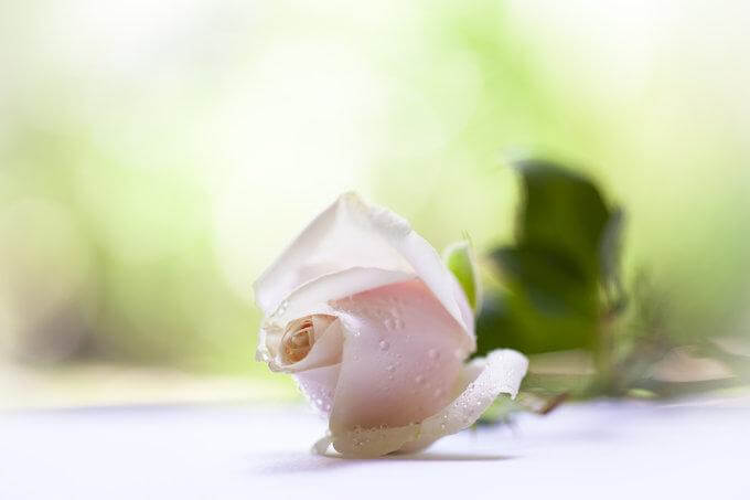 A beleza de ser você mesmo