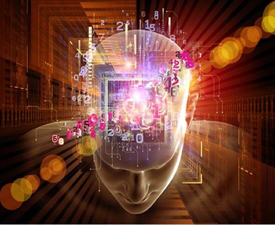 O cérebro tem sexo?