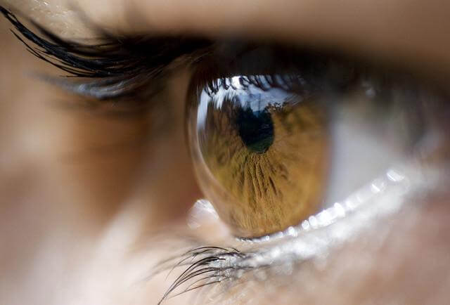 A linguagem dos olhos