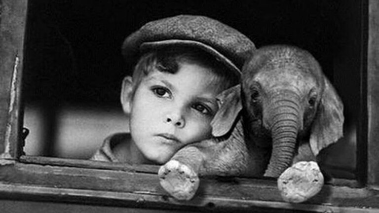 Somos elefantes acorrentados?