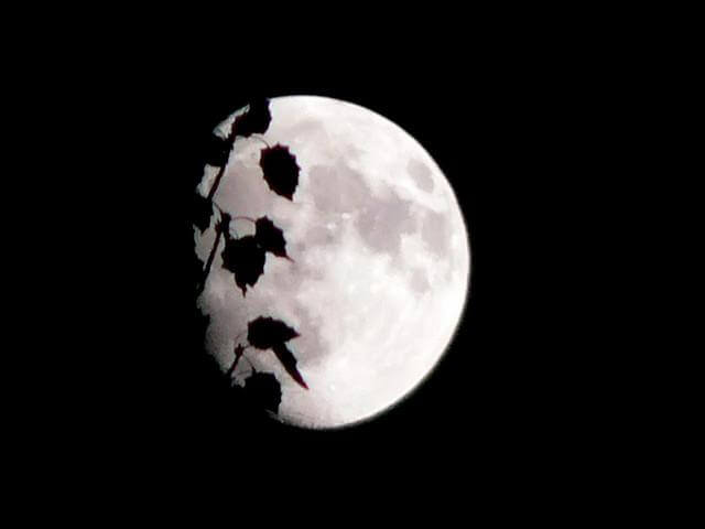 Os enigmas do silêncio