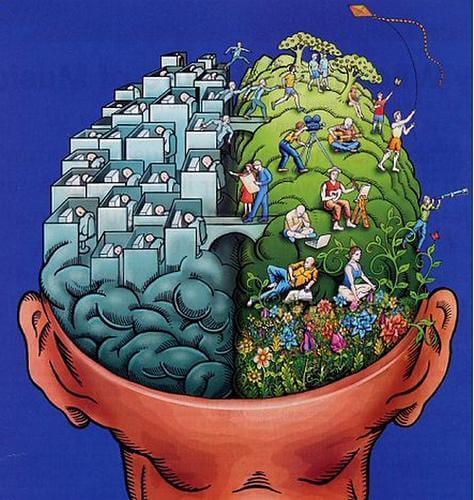 Hemisférios cerebrais e personalidade: um mito cai por terra?