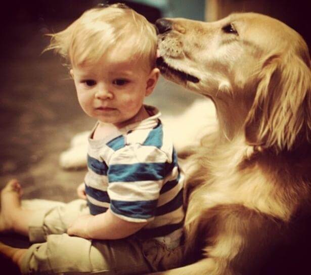 Seu melhor amigo também tem consciência