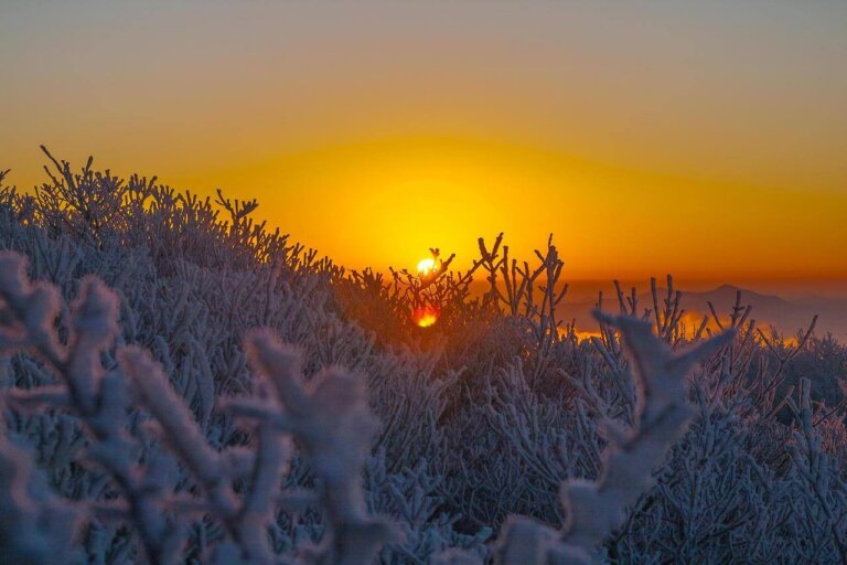 Nosso barulho mental