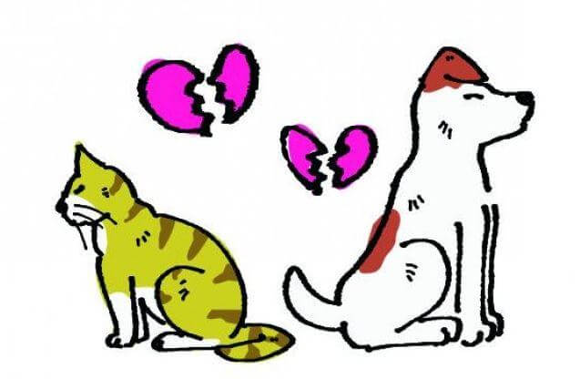 Cinco ideias para transformar os conflitos em oportunidades