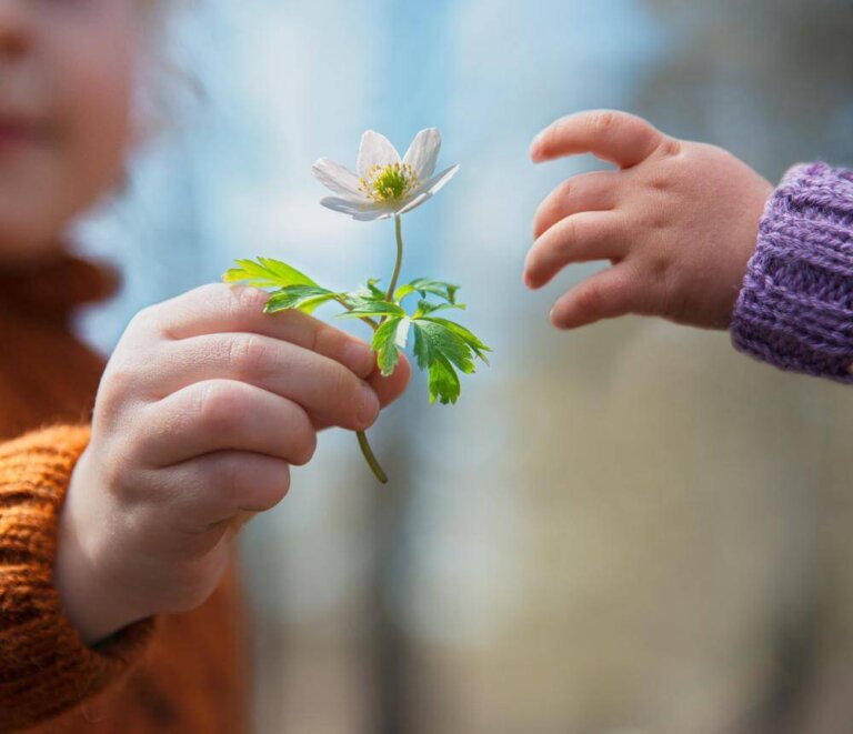 O valor da amizade (Cuerdas)