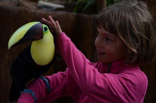 O poder das carícias