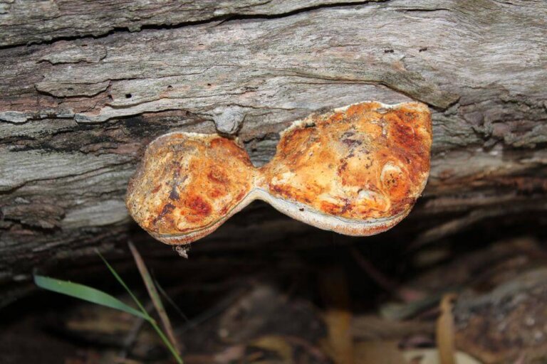 Bons hábitos para continuar crescendo como casal