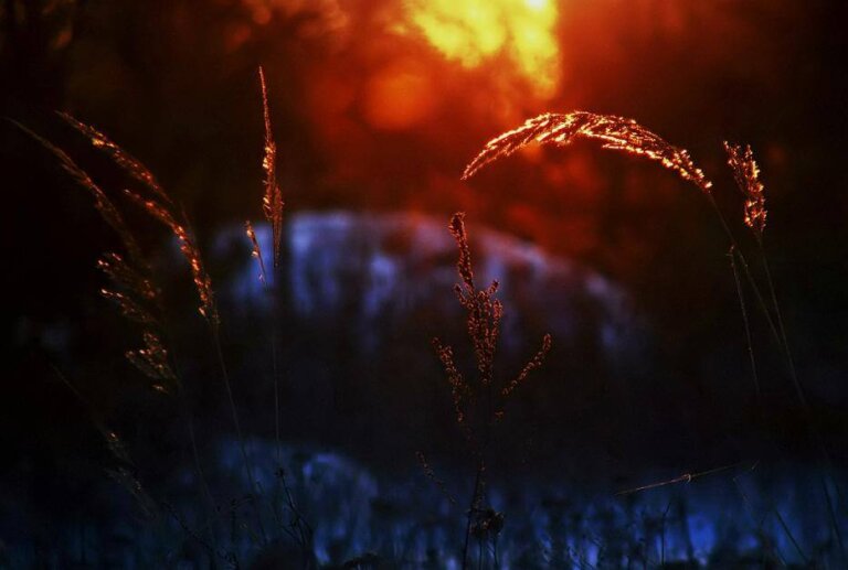 A experiência do luto