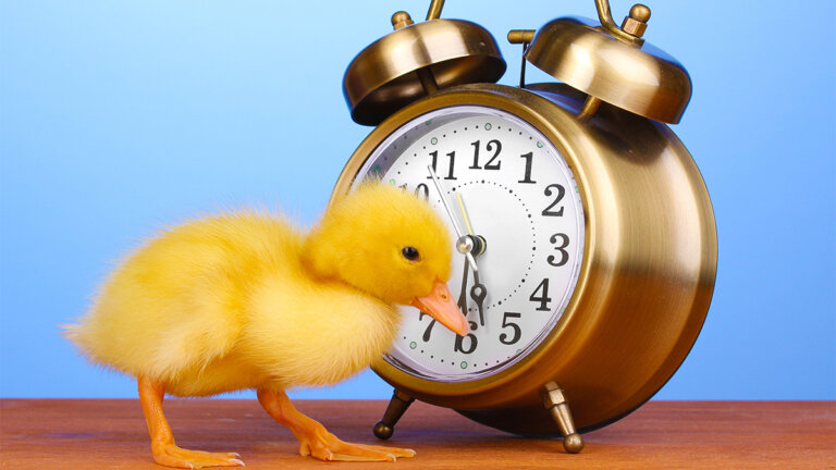 Quatro coisas que as pessoas de sucesso fazem nas primeiras horas do dia