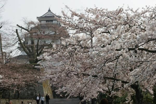 As sete virtudes do Bushido japonês