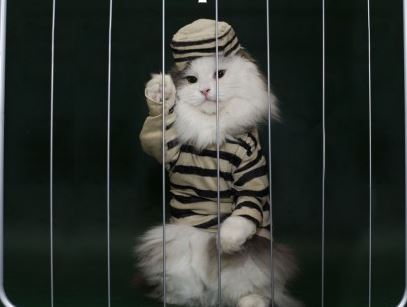 As 11 chaves da infelicidade