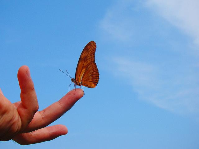 Os benefícios de deixar ir embora