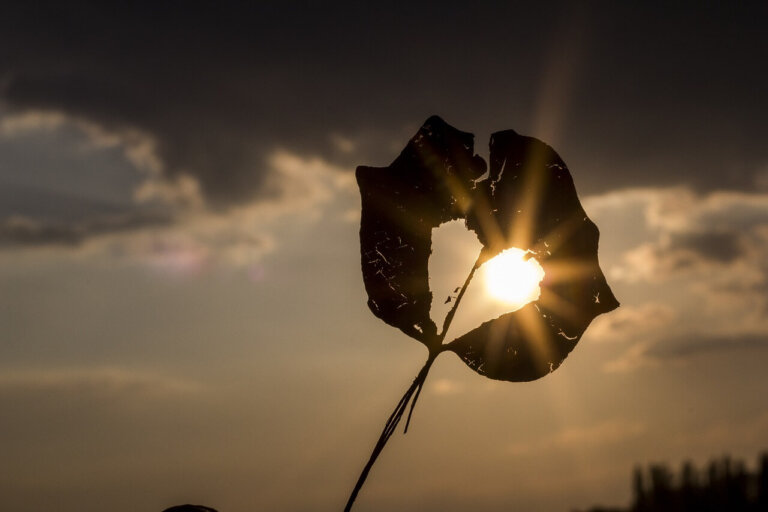 3 Feridas que nunca cicatrizam e o amor que não pode ser eterno