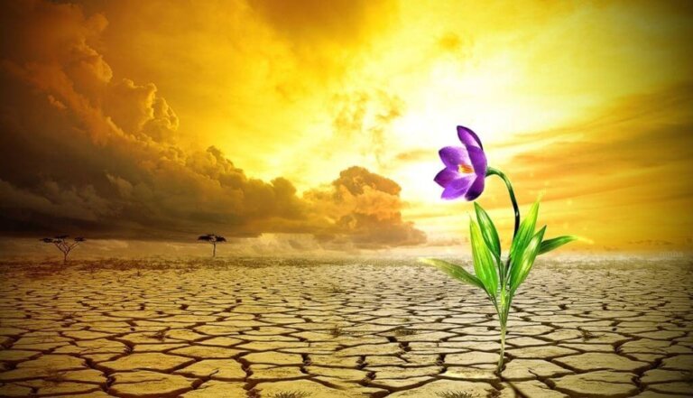 Chaves para desenvolver a resiliência