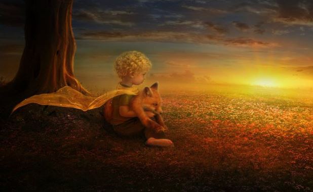 Só se vê bem com o coração, o essencial é invisível aos olhos