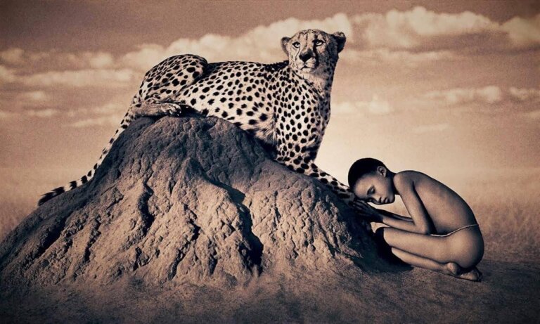 O preço de empreender uma viagem interior