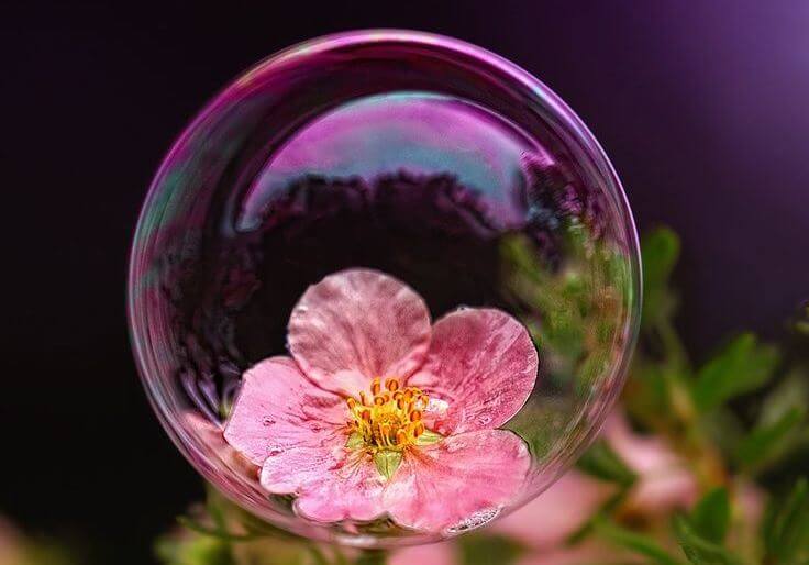 As crianças “bolha” e os perigos da superproteção