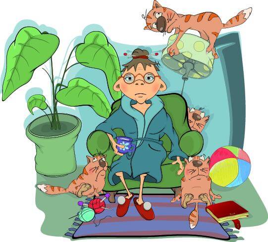 A Síndrome da Arca de Noé