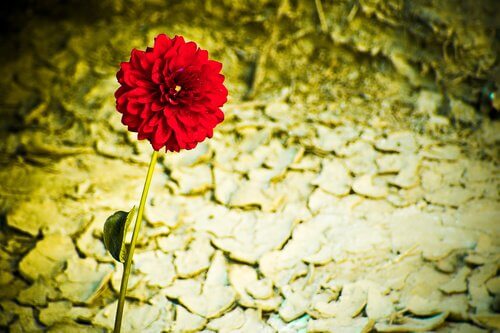 Personalidades resistentes, personalidades fortes