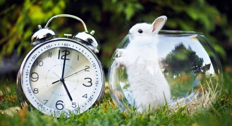 Coisas produtivas para fazer em 5 minutos