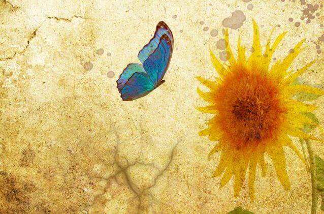 Vale a pena lutar pelo que vale a pena ter