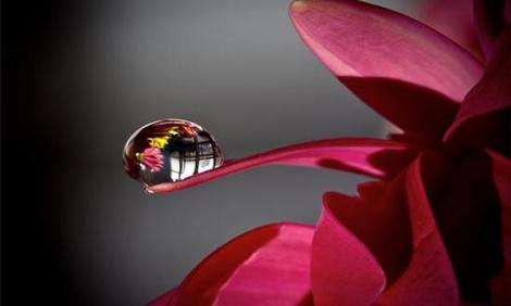 Coisas que esquecemos sobre a vida