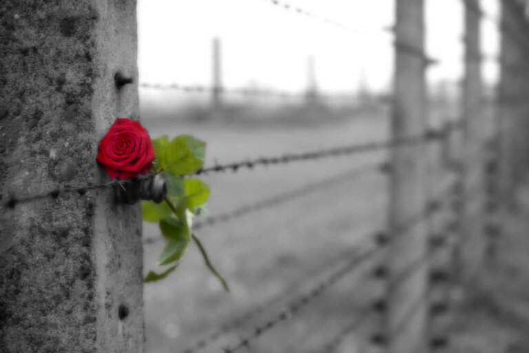 A força e os limites do amor