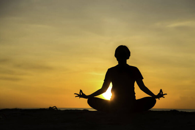 5 fatos interessantes sobre sua linguagem corporal