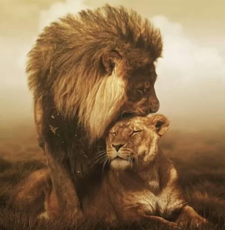 A necessidade de reconhecimento, um pilar da autoestima