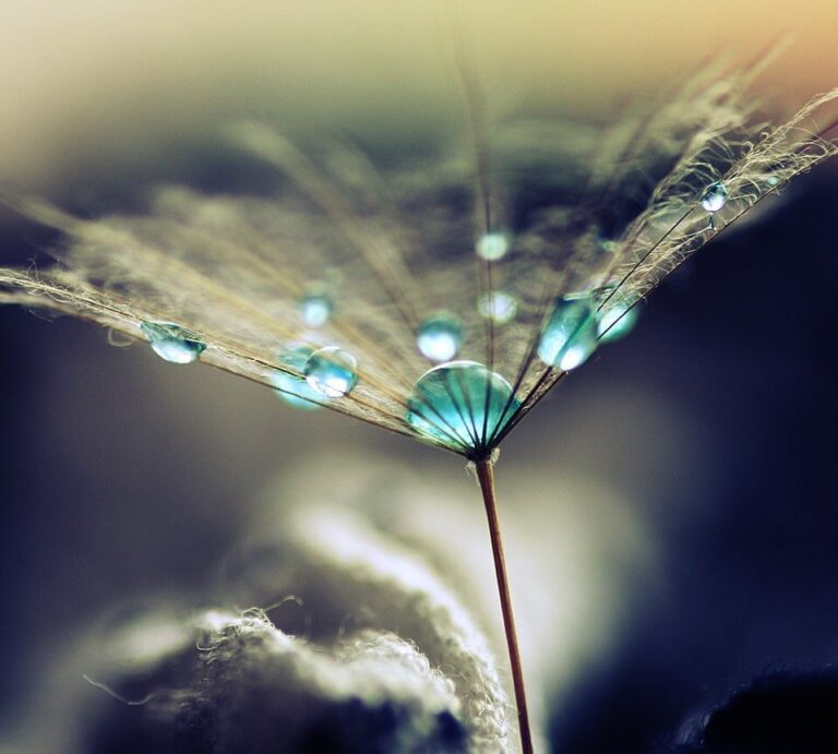 Sua força está em sua vulnerabilidade