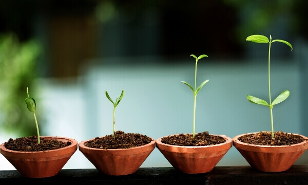 8 sinais que mostram o seu crescimento emocional