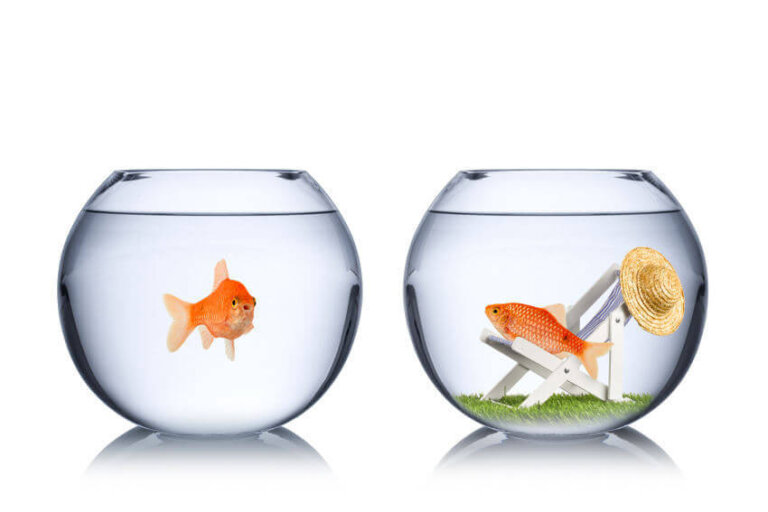 Deixe de pensar que você merece algo melhor