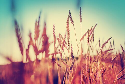 Aplique a abundância na sua vida!