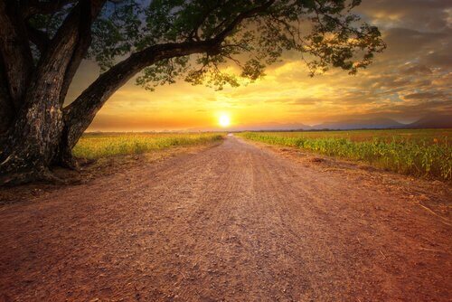 Quando a desmotivação aparece, o que fazer para eliminá-la?