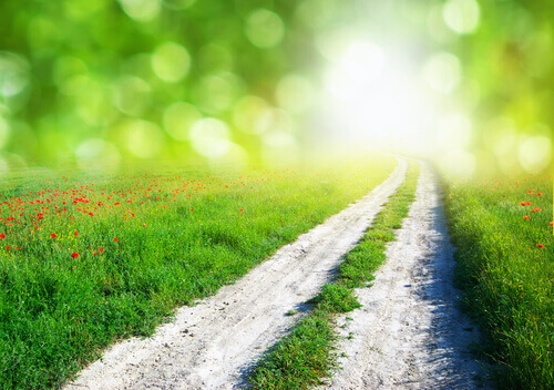 3 instintos que não costumam falhar