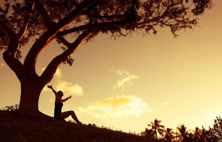 A maturidade de não culpar ninguém pelo que me acontece