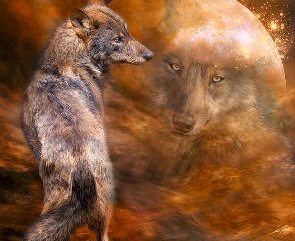 A beleza é uma questão de atitude