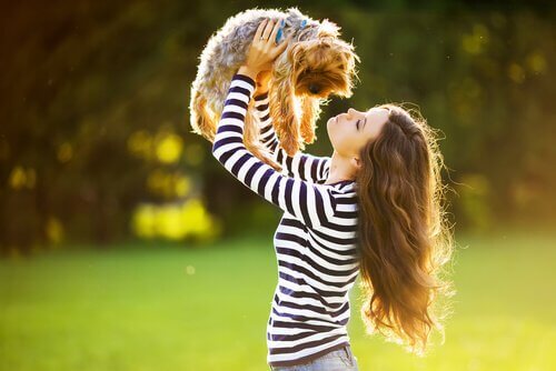 Você será tratado como tratar os animais