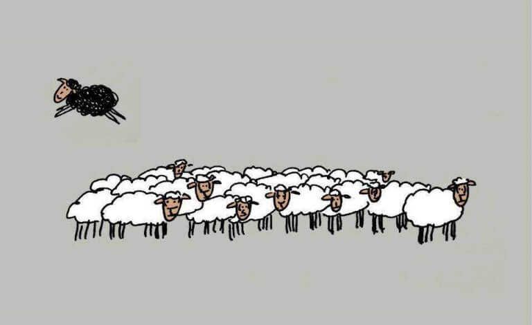 A ovelha negra não é má: só é diferente