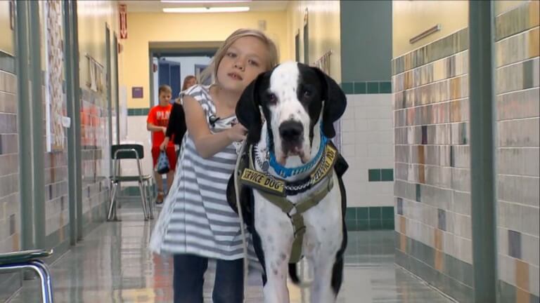 "Apoie-se em mim", a maravilhosa história de Bella e George