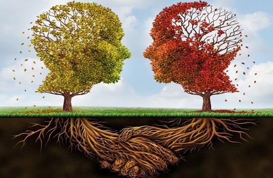 10 tipos de psicólogos