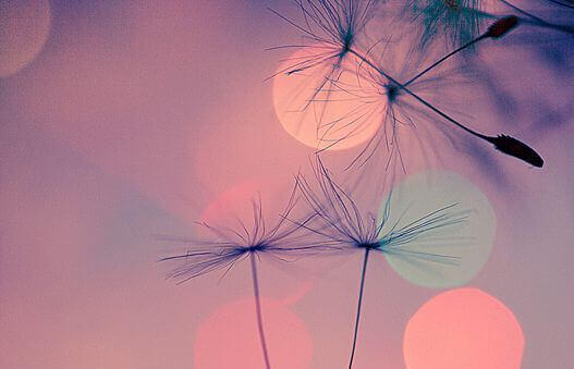 Encontrar as respostas em momentos difíceis é terapêutico