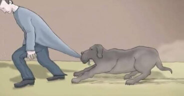 "Eu tinha um cachorro preto, seu nome era Depressão"