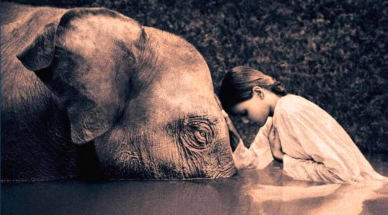 As leis do karma segundo o budismo